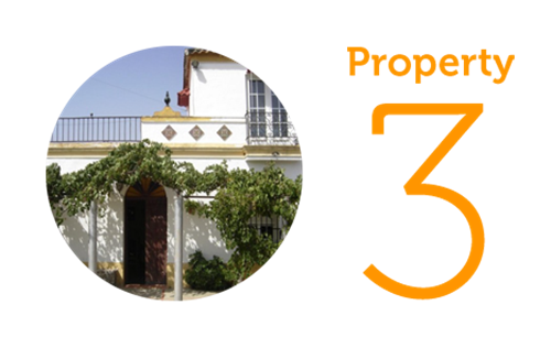 Property 3: Three bed house in Los Badalejos