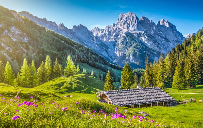 All Year Round Homes in Austria