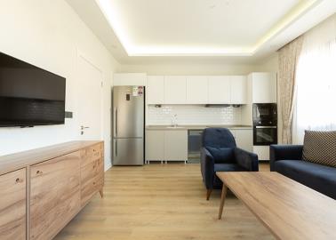 modern-kitchen-and-lounge