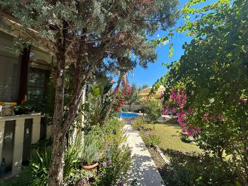 beautiful-gardens-with-grass-and-plants