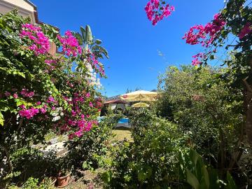 colourful-plants-and-shrubs