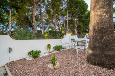 propertyimage1ghizdei9j20241123063336