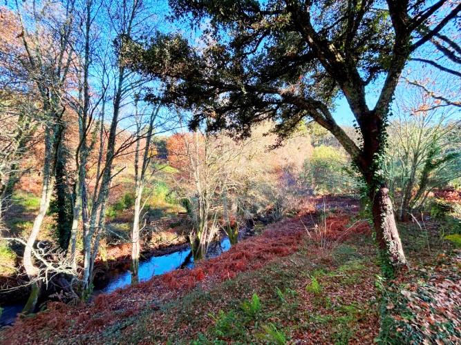 Pedr&#243;g&#227;o Grande, Land