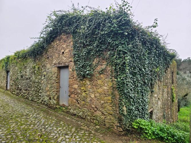 Image No.1-Maison de campagne à vendre à Figueiró dos Vinhos