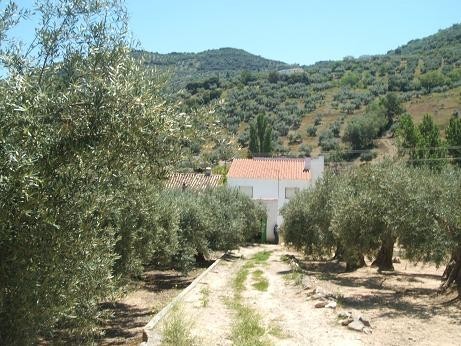 Image No.1-Maison de campagne de 6 chambres à vendre à Las Casillas