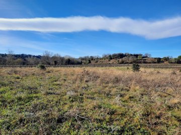 1 - Saint-Geniès-de-Fontedit, Vignoble