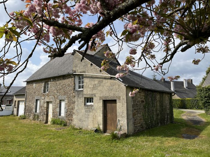 Image No.1-Maison de 5 chambres à vendre à Laurenan