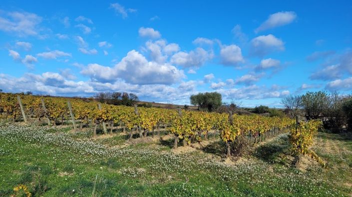 Image No.1-Propriété à vendre à Autignac