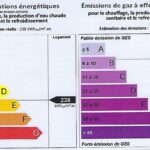 dpepouz-150x150-1