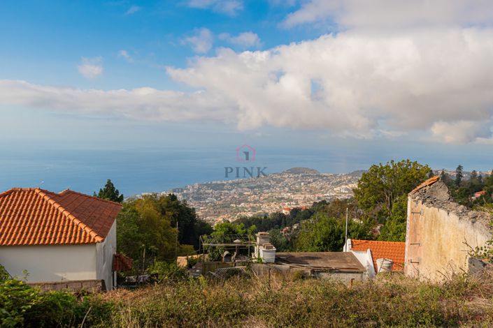 Funchal, Property