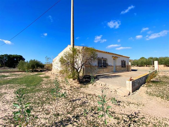 La Alfoquia, Property