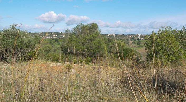 Image No.1-Terrain à vendre à Silves