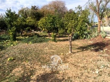 58640-land-in-anavargos-paphosfull