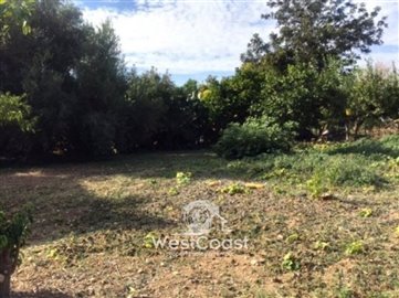 58641-land-in-anavargos-paphosfull