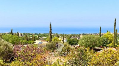 172908-detached-villa-for-sale-in-aphrodite-h