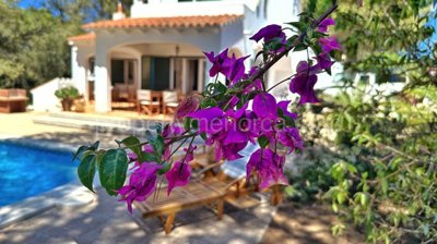 696-villa-for-sale-in-torre-soli-nou-18378-la