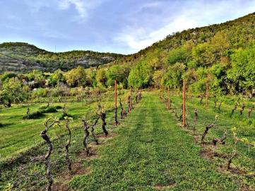 14160-Large-Estate-near-the-Lake-Skadar--41-