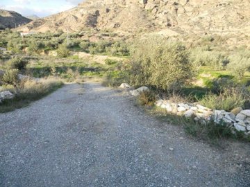 7247-land-for-rent-in-albox-702224-xml