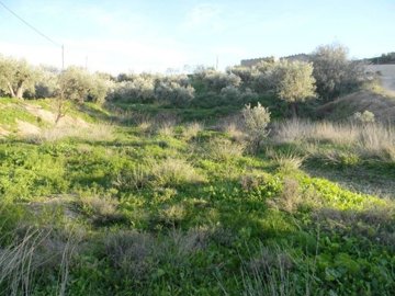 7247-land-for-rent-in-albox-702226-xml