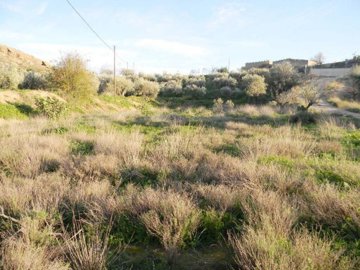 7247-land-for-rent-in-albox-702227-xml