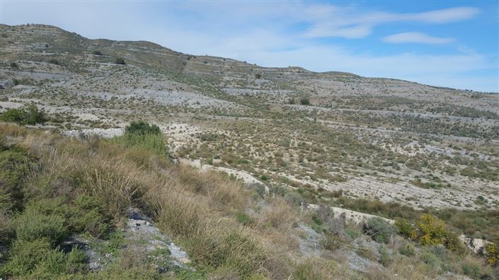 Image No.1-Terre à vendre à Almeria