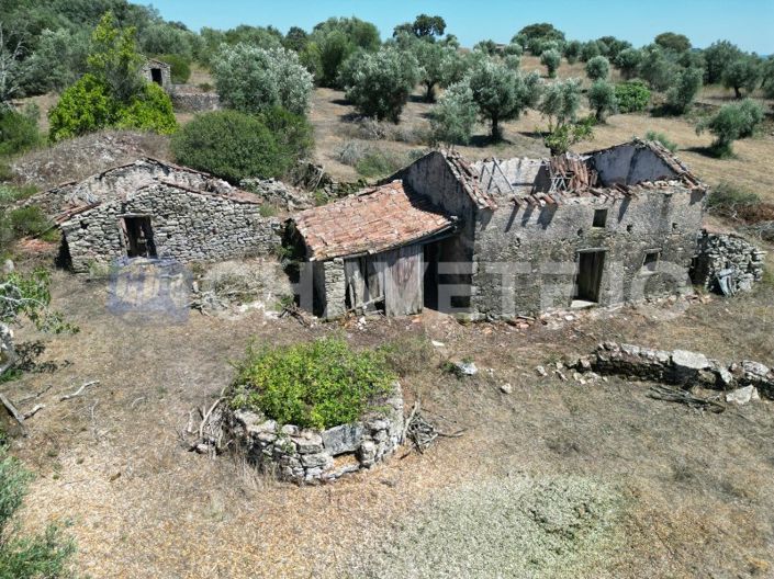 Image No.1-Maison de 3 chambres à vendre à Ferreira do Zêzere