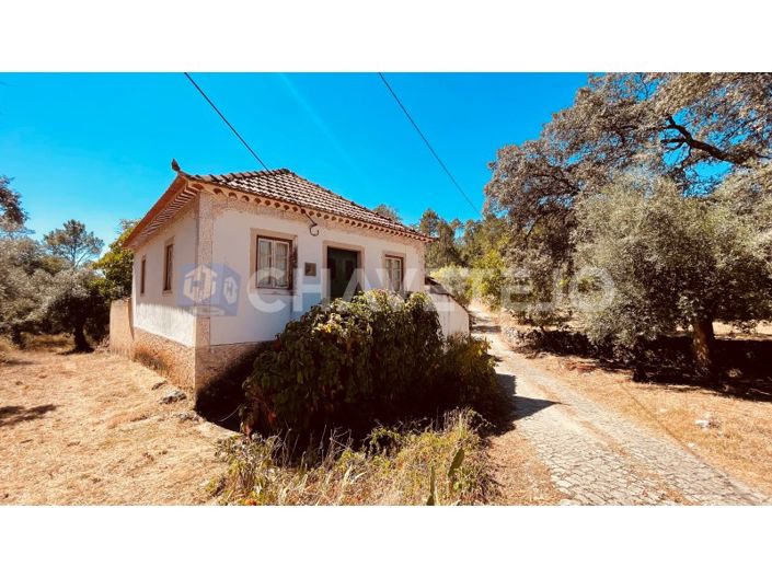 Image No.1-Maison de 3 chambres à vendre à Alvaiázere