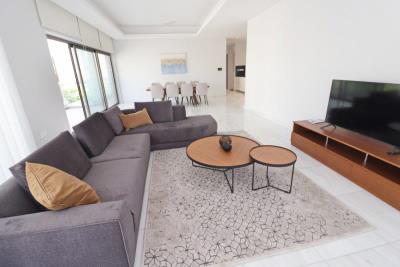 58204-penthouse-for-sale-in-pafos-town_full