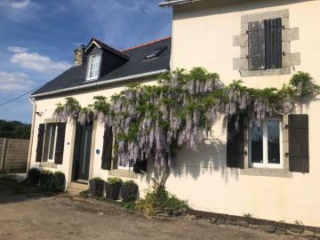 Wysteria1-MAy-2024