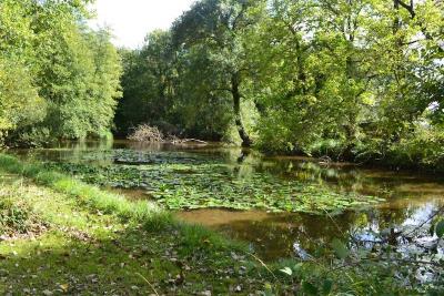 Property for sale in Dordogne - 1848 properties - A Place in the Sun