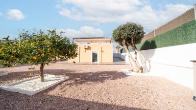 Detached-Villa-for-sale-in-La-Marina--7---Portals-