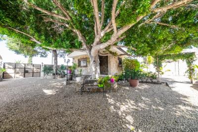 Detached-Property-for-sale-in-La-Marina--5---Canva-