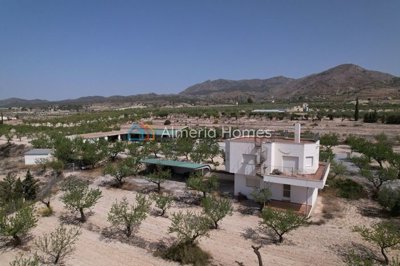 Almeria Homes most sold property