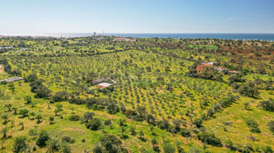 1 - Albufeira, Plot