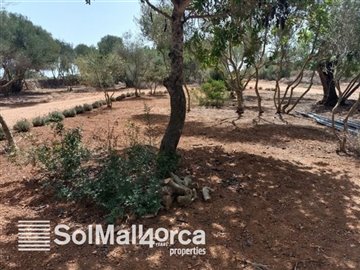 Sol Mallorca most sold property