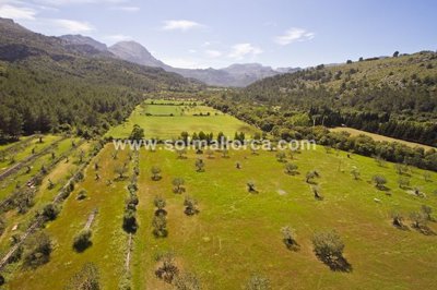 1 - Pollenca, Property