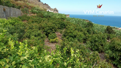 VYM Canarias most sold property