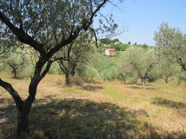 Image No.1-Land for sale