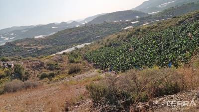 3005-land-plot-suitable-for-investment-and-citizenship-in-yesiloz-alanya-658c0f246b651