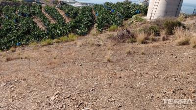 3005-land-plot-suitable-for-investment-and-citizenship-in-yesiloz-alanya-658c0f235e044