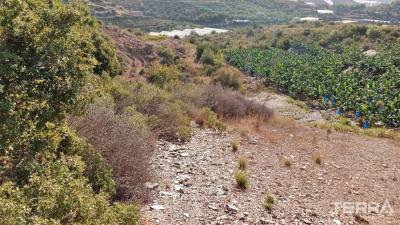 3005-land-plot-suitable-for-investment-and-citizenship-in-yesiloz-alanya-658c0f22887fb