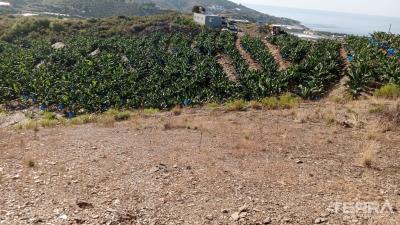 3005-land-plot-suitable-for-investment-and-citizenship-in-yesiloz-alanya-658c0f226011f