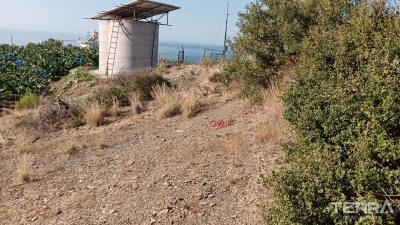 3005-land-plot-suitable-for-investment-and-citizenship-in-yesiloz-alanya-658c0f238732c