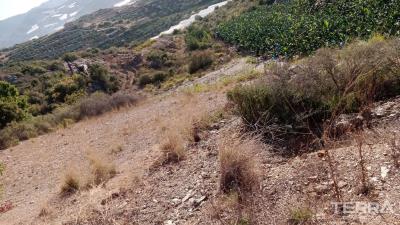 3005-land-plot-suitable-for-investment-and-citizenship-in-yesiloz-alanya-658c0f2536610