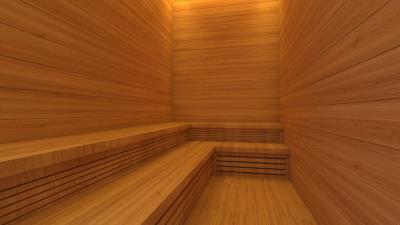 sauna-2