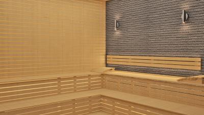 -8-sauna-render