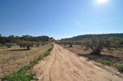 1 - La Zarza, Land