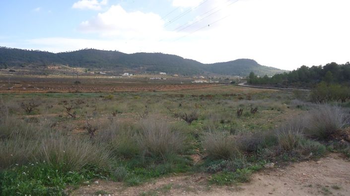 Image No.1-Land for sale