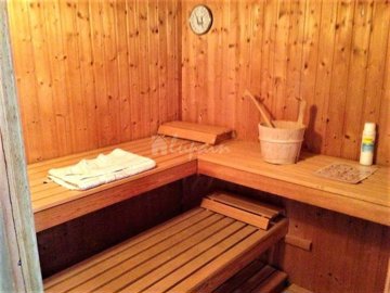 1076574185sauna2