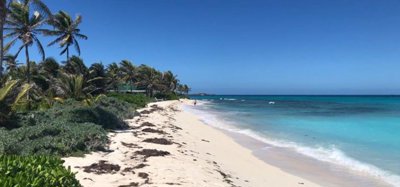 Palm Island Beachfront Land Image 2